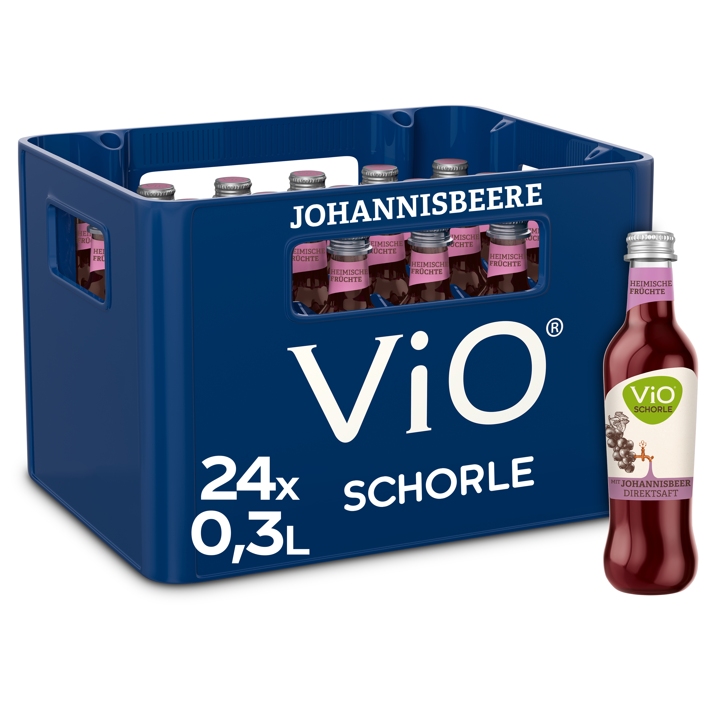 Vio Bio Schorle Johannisb. 24/0.3