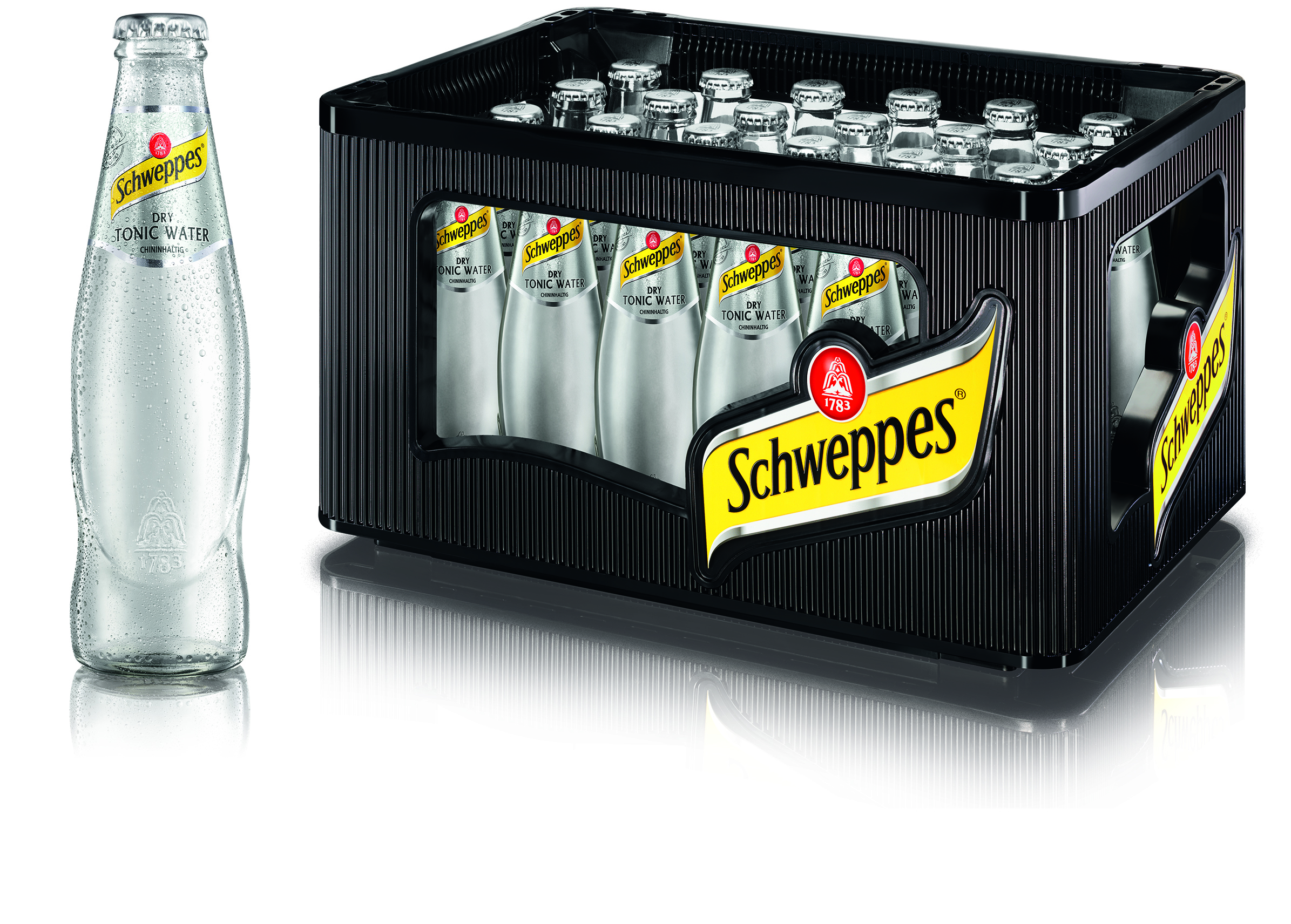Schweppes Dry Tonic 24/0.2