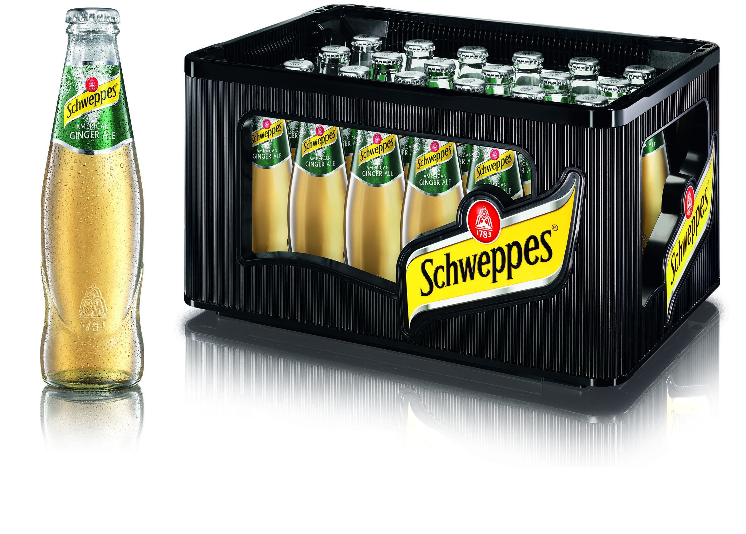 Schweppes Ginger Ale 24/0.2