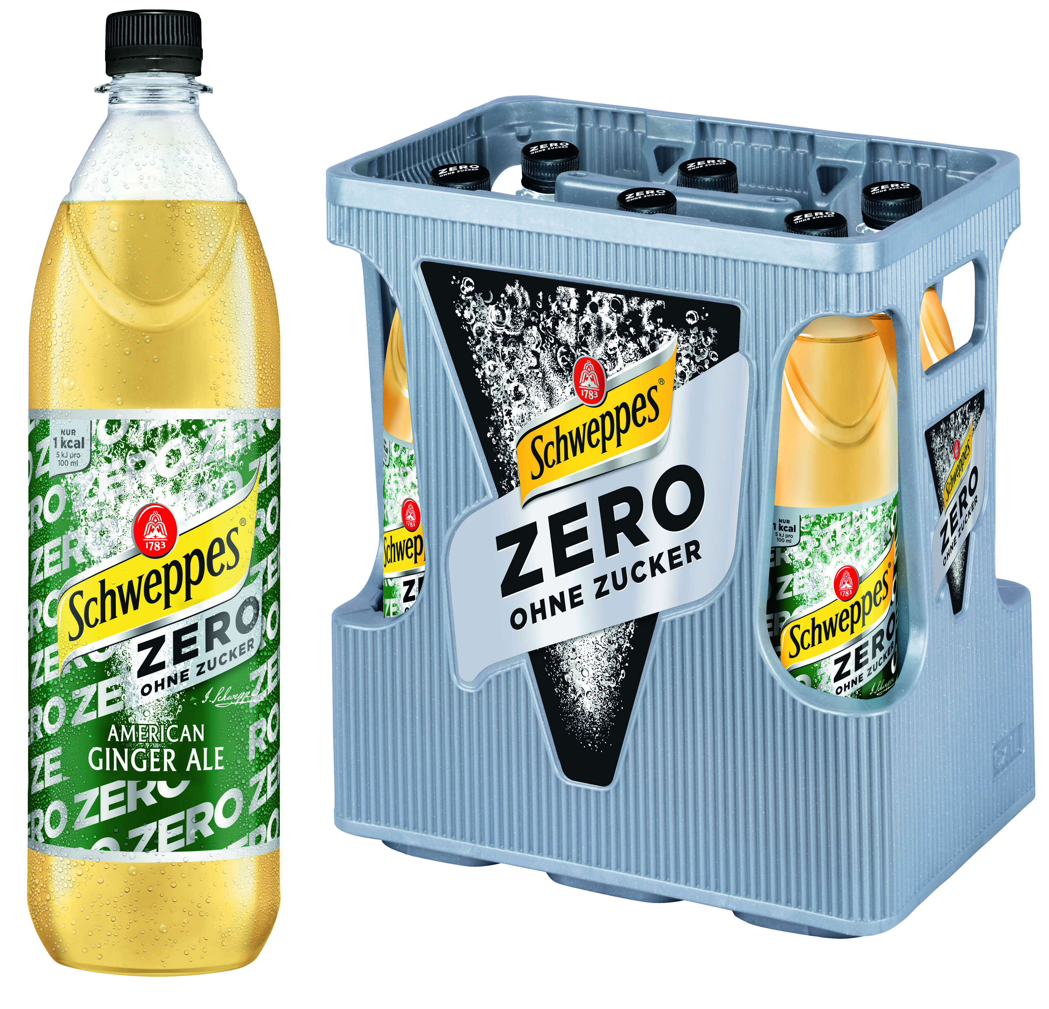 Schweppes Ginger Ale Zero 6/1,0