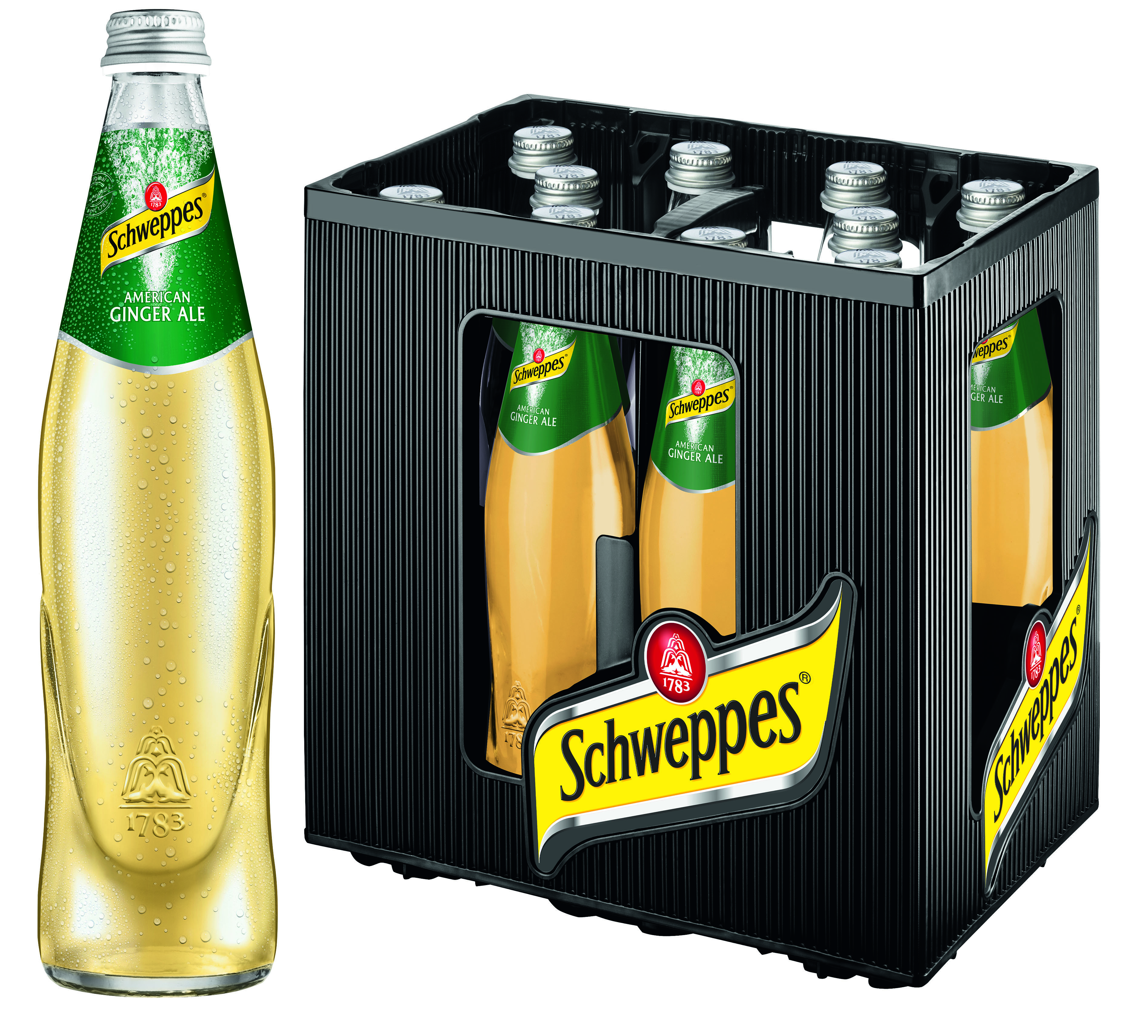 Schweppes Ginger Ale 10/0,5