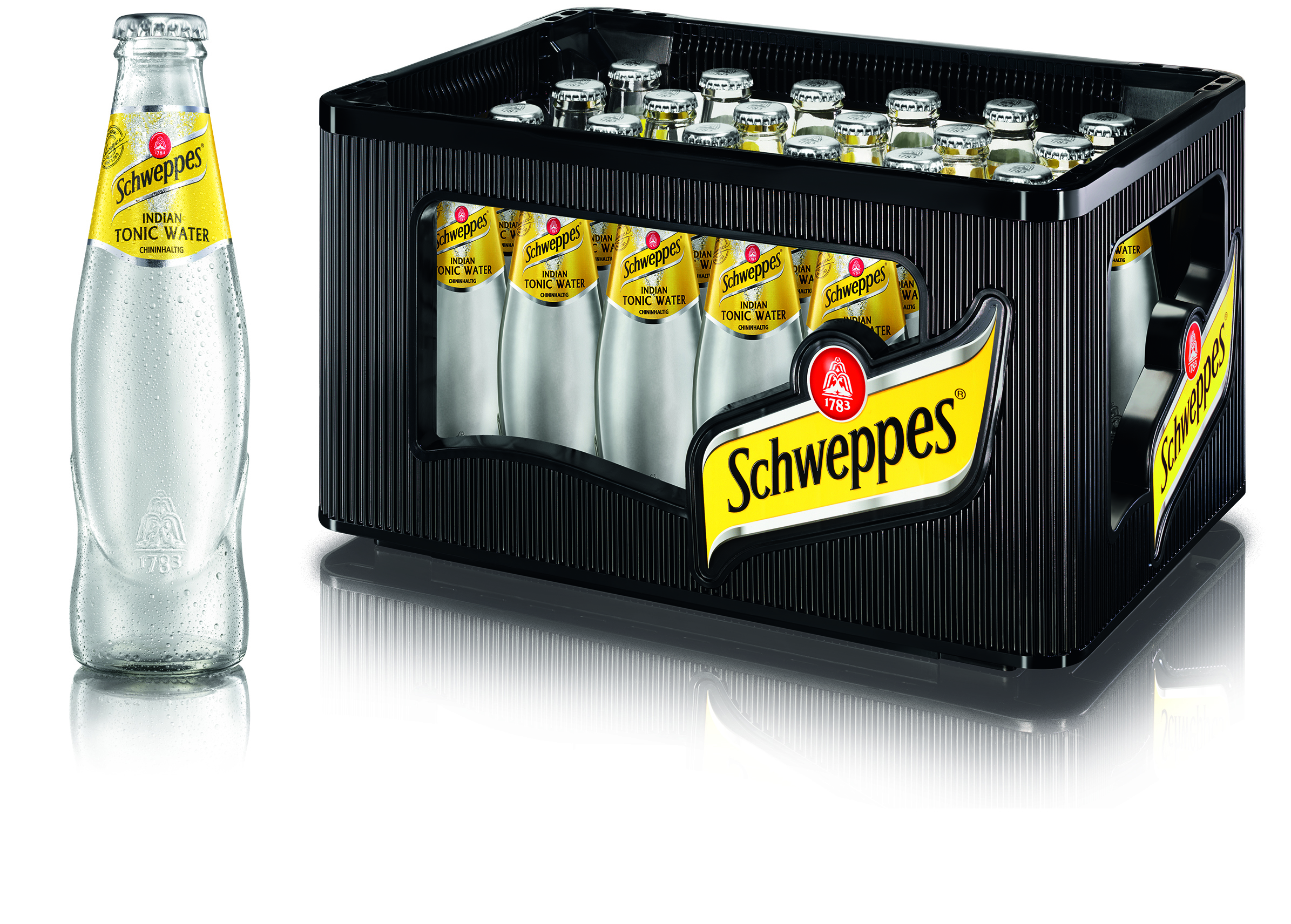 Schweppes Tonic Water 24/0.2