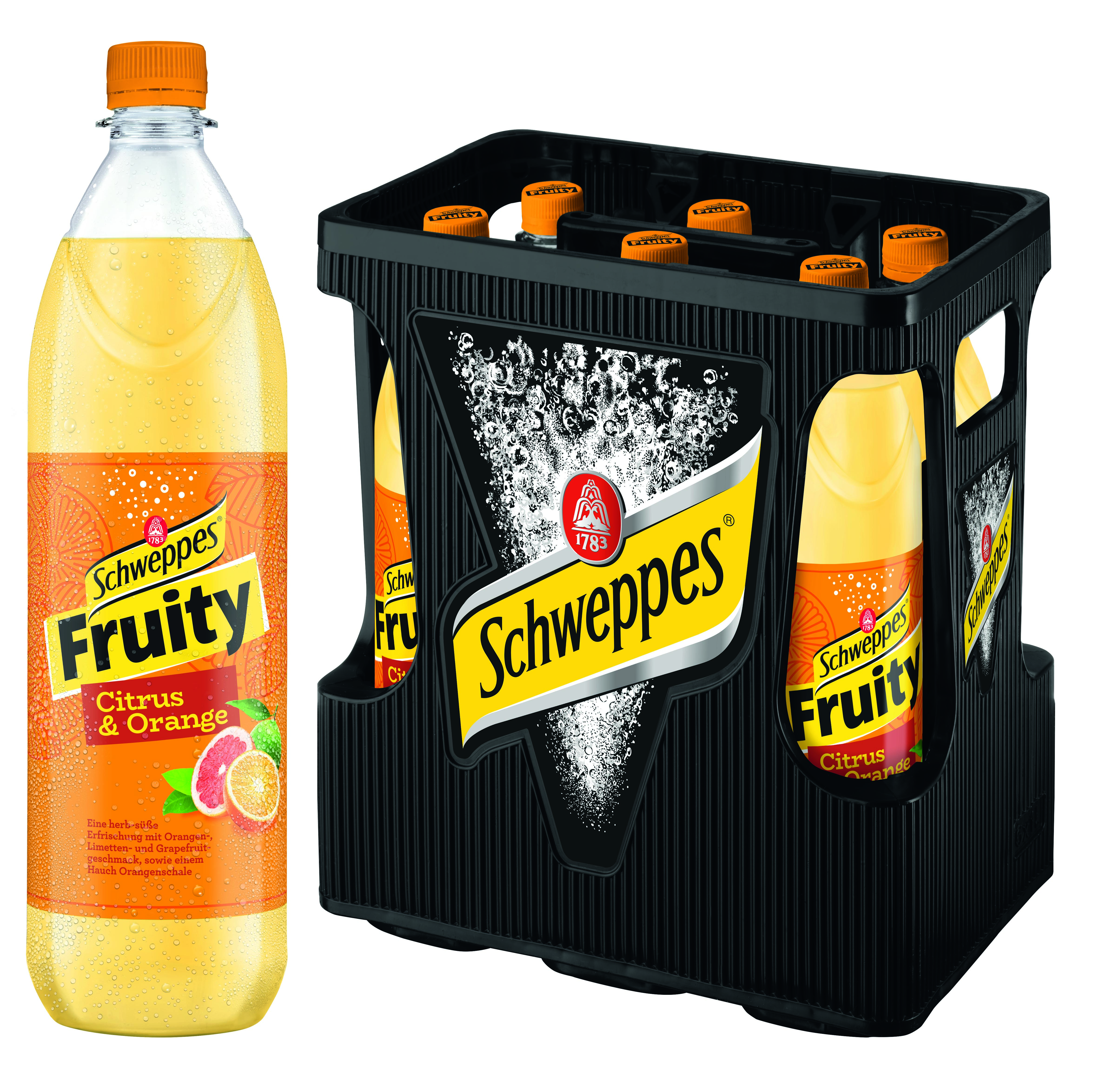 Schweppes Fruity Citrus PET 6/1,0