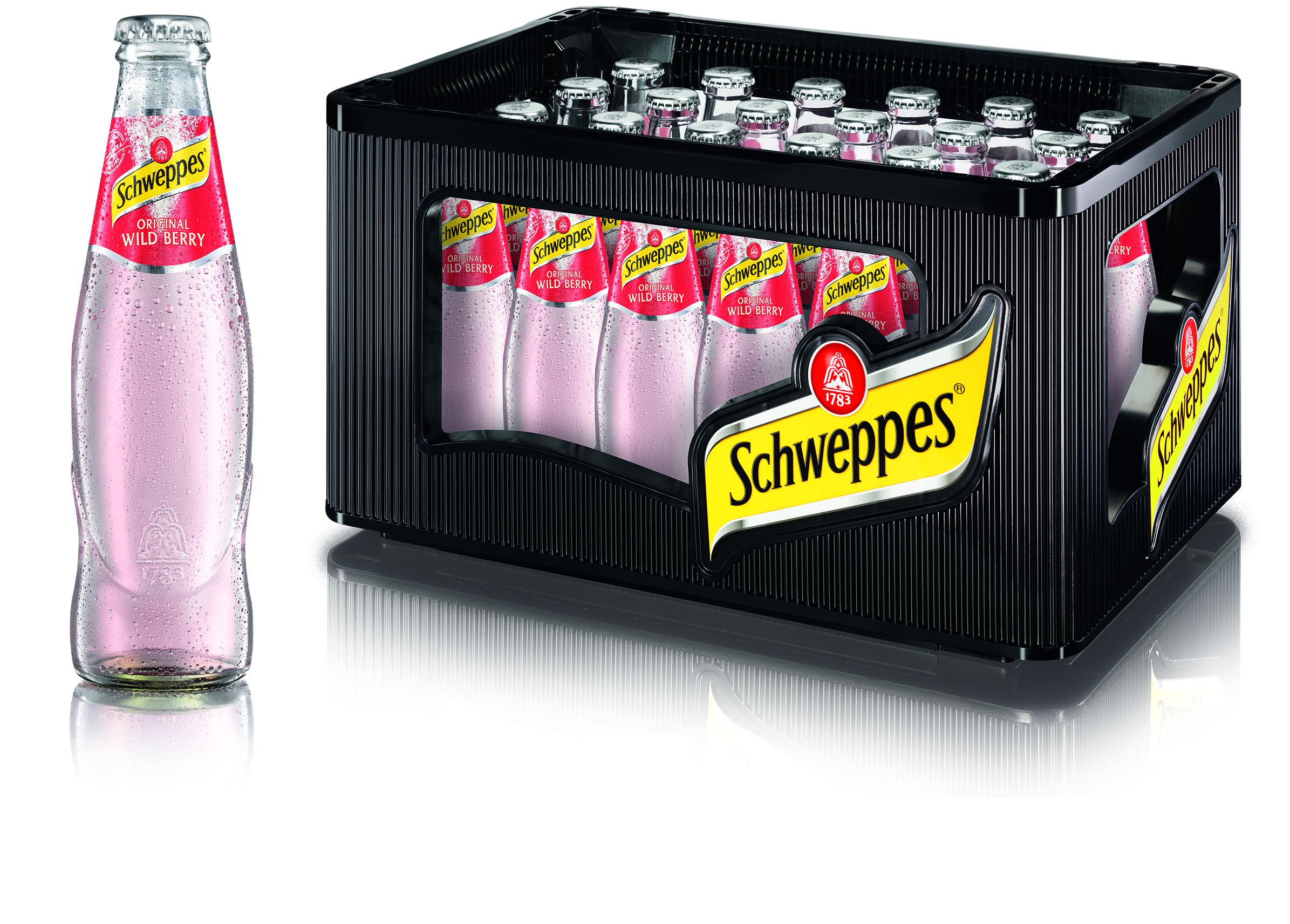 Schweppes Rus.Wild Berries 24/0.2