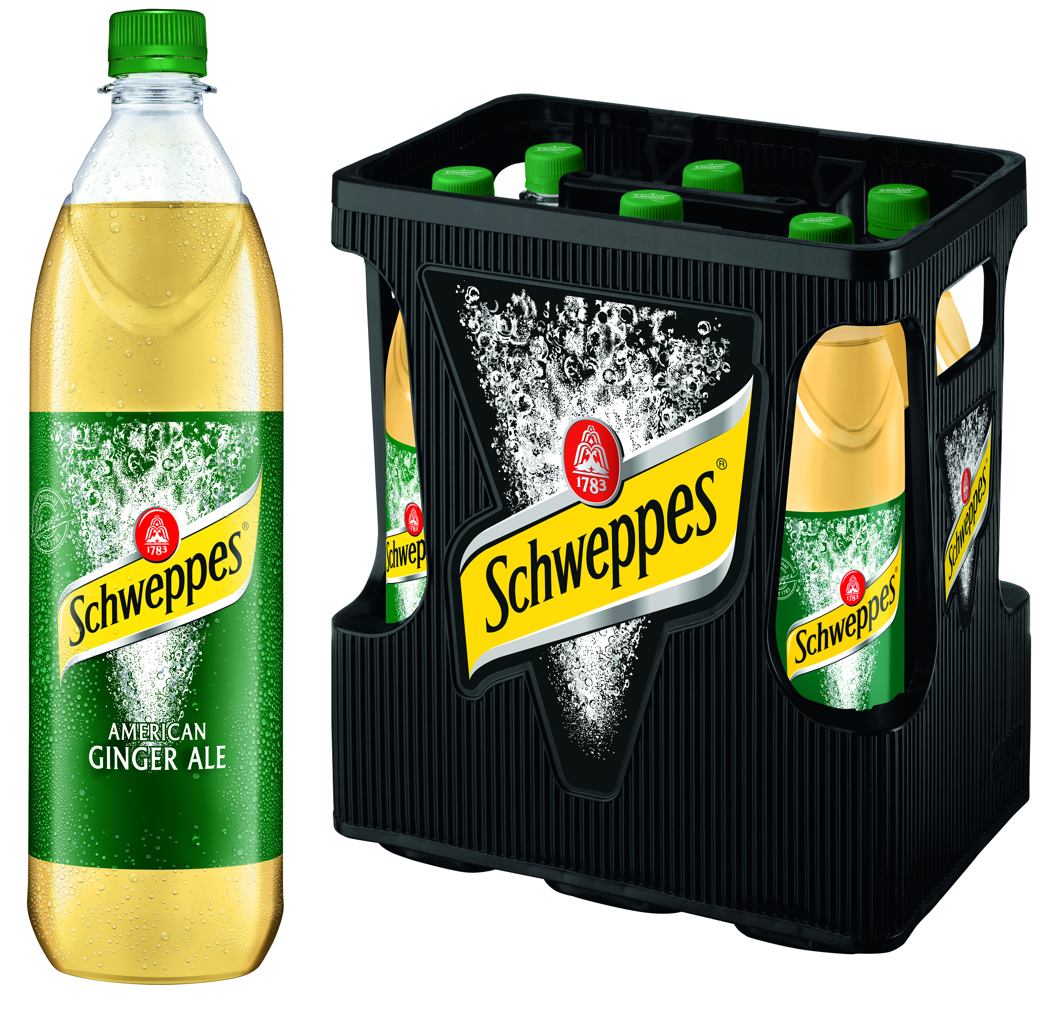 Schweppes Ginger Ale PET 6/1.0 Schweppes Ginger Ale PET 6/1.0