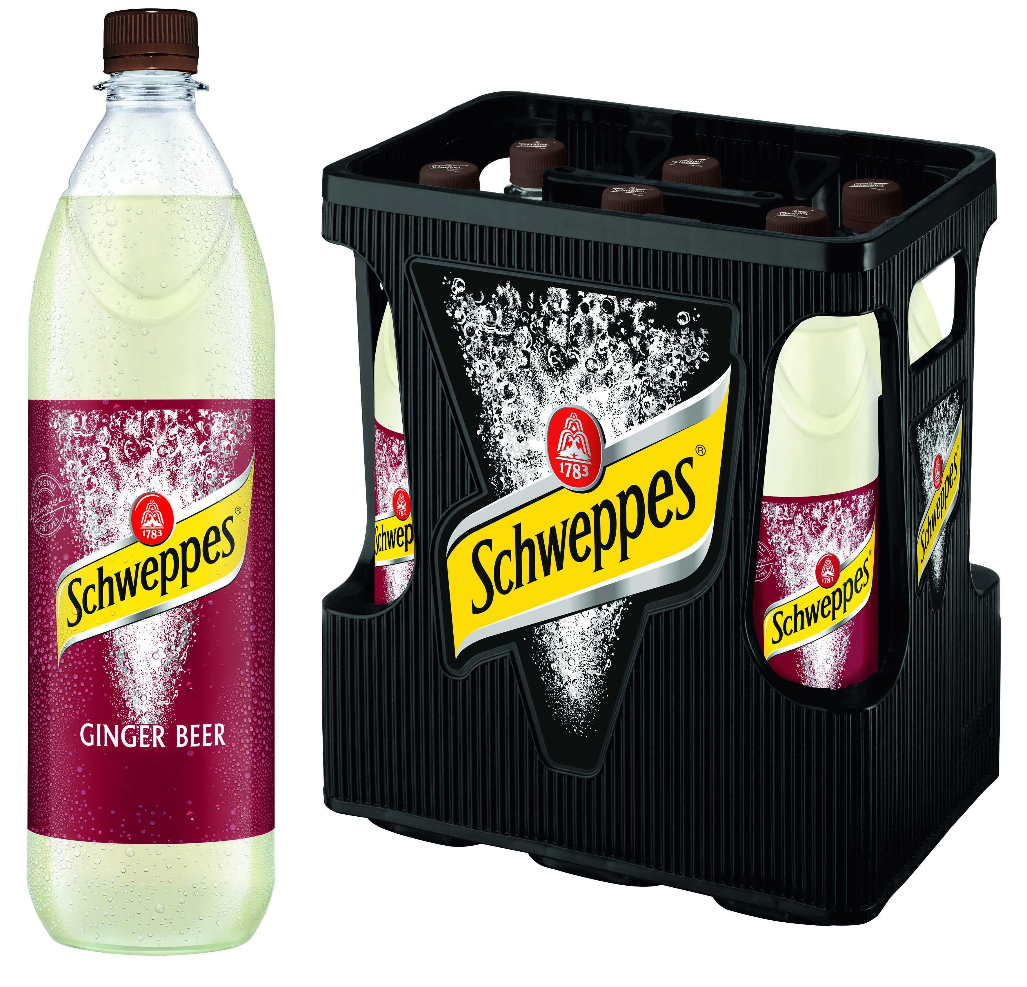 Schweppes Ginger B. PET 6/1.0 Schweppes Ginger B. PET 6/1.0