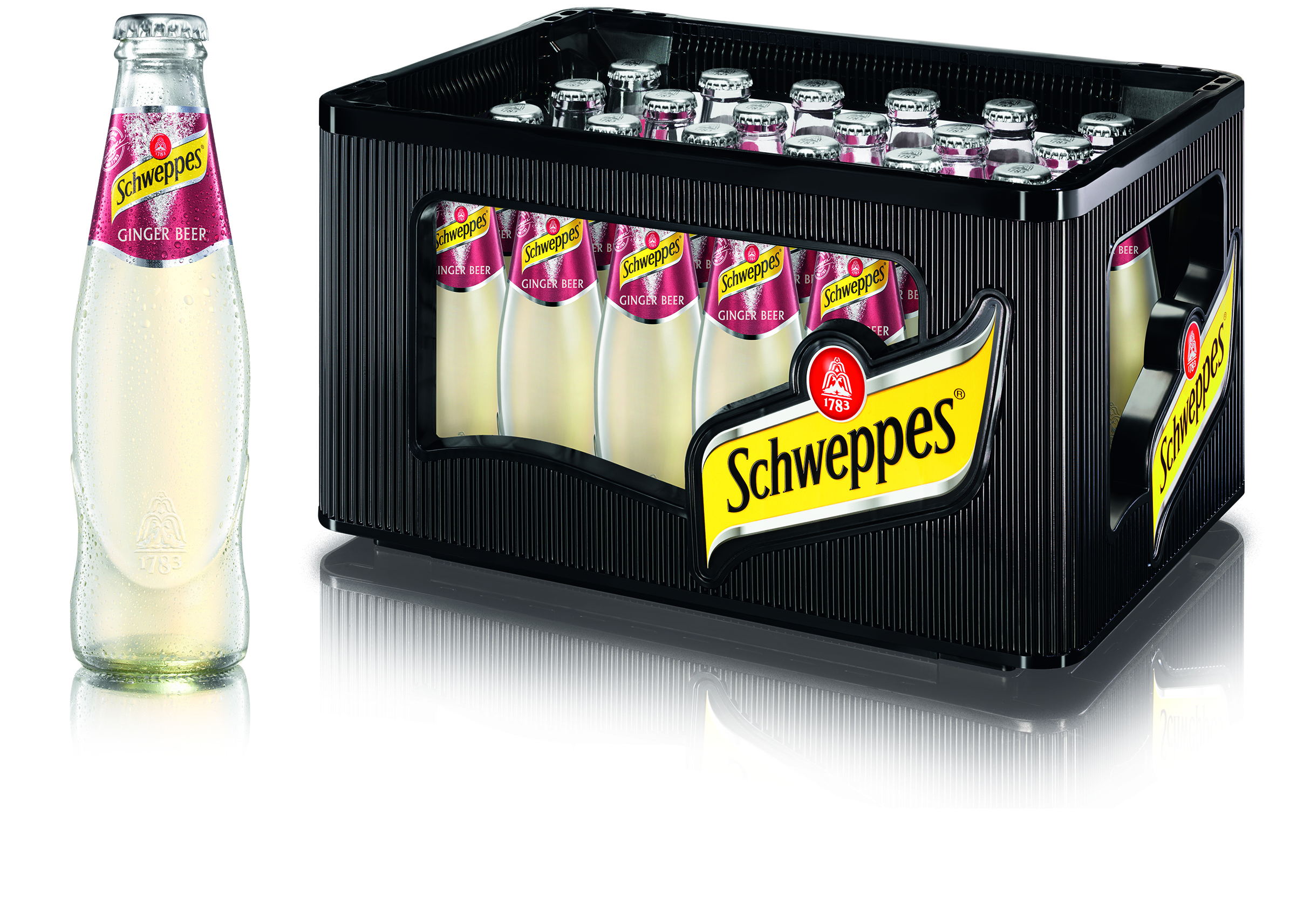 Schweppes Ginger B. 24/0.2